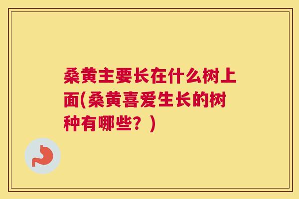 桑黄主要长在什么树上面(桑黄喜爱生长的树种有哪些？)