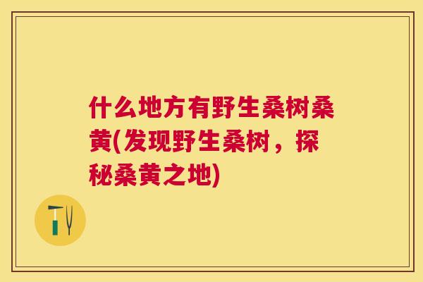 什么地方有野生桑树桑黄(发现野生桑树,探秘桑黄之地) 什么地方有野生桑树桑黄(发现野生桑树,探秘桑黄之地)