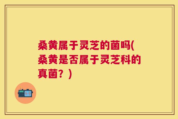 桑黄属于灵芝的菌吗(桑黄是否属于灵芝科的真菌?) 桑黄属于灵芝的菌吗(桑黄是否属于灵芝科的真菌?)
