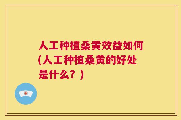 人工种植桑黄效益如何(人工种植桑黄的好处是什么?) 人工种植桑黄效益如何(人工种植桑黄的好处是什么?)