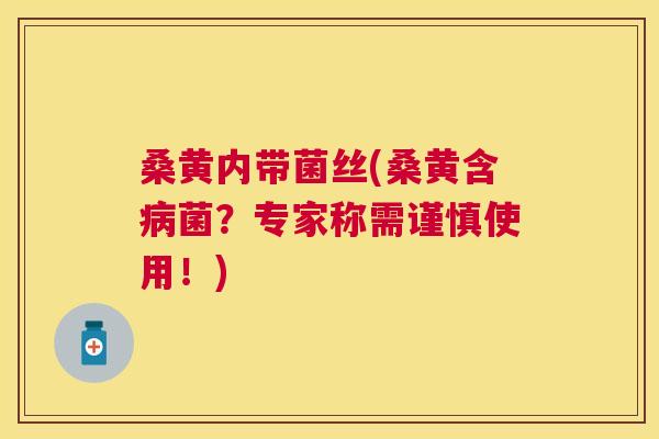 桑黄内带菌丝(桑黄含菌?专家称需谨慎使用!) 桑黄内带菌丝(桑黄含菌?专家称需谨慎使用!)