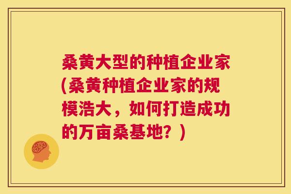桑黄大型的种植企业家(桑黄种植企业家的规模浩大,如何打造成功的万亩桑基地?) 桑黄大型的种植企业家(桑黄种植企业家的规模浩大,如何打造成功的万亩桑基地?)