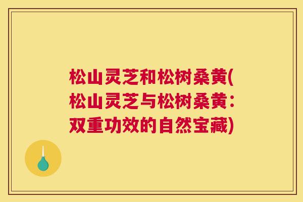 松山灵芝和松树桑黄(松山灵芝与松树桑黄:双重功效的自然宝藏) 松山灵芝和松树桑黄(松山灵芝与松树桑黄:双重功效的自然宝藏)