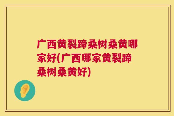广西黄裂蹄桑树桑黄哪家好(广西哪家黄裂蹄桑树桑黄好) 广西黄裂蹄桑树桑黄哪家好(广西哪家黄裂蹄桑树桑黄好)