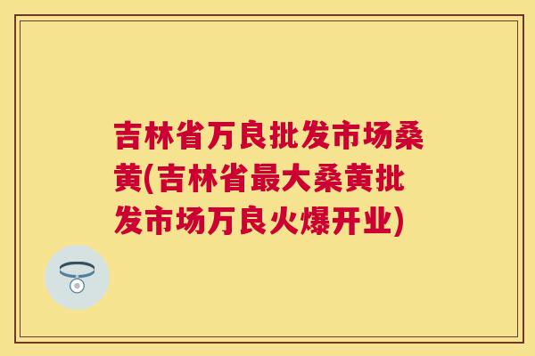 吉林省万良批发市场桑黄(吉林省大桑黄批发市场万良火爆开业) 吉林省万良批发市场桑黄(吉林省大桑黄批发市场万良火爆开业)