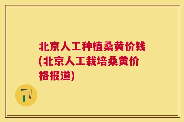 北京人工种植桑黄价钱(北京人工栽培桑黄价格报道) 北京人工种植桑黄价钱(北京人工栽培桑黄价格报道)
