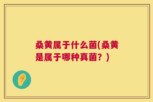 桑黄属于什么菌(桑黄是属于哪种真菌?) 桑黄属于什么菌(桑黄是属于哪种真菌?)