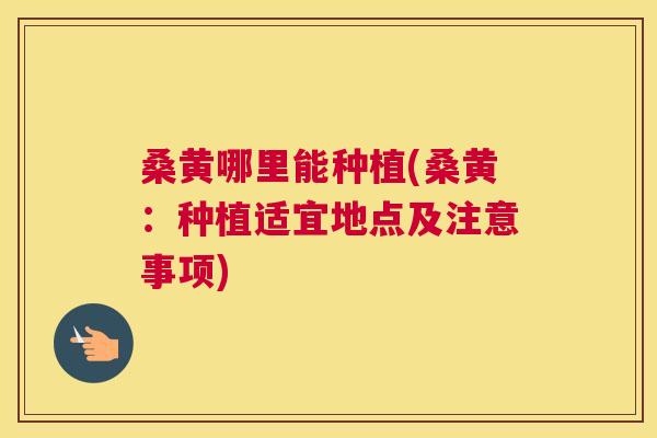 桑黄哪里能种植(桑黄：种植适宜地点及注意事项)