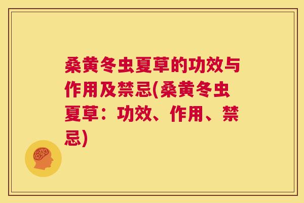 桑黄冬虫夏草的功效与作用及禁忌(桑黄冬虫夏草:功效、作用、禁忌) 桑黄冬虫夏草的功效与作用及禁忌(桑黄冬虫夏草:功效、作用、禁忌)