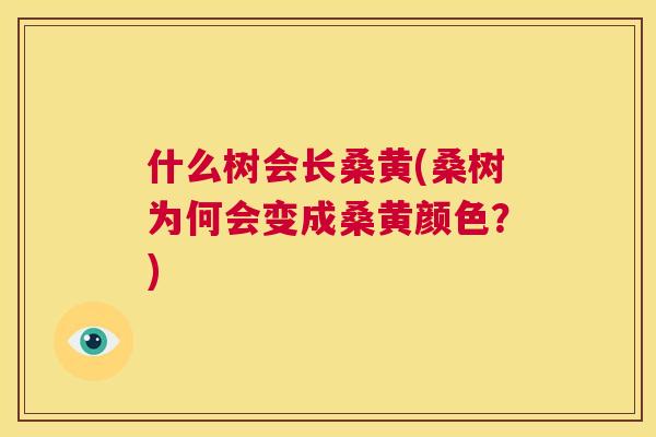 什么树会长桑黄(桑树为何会变成桑黄颜色?) 什么树会长桑黄(桑树为何会变成桑黄颜色?)