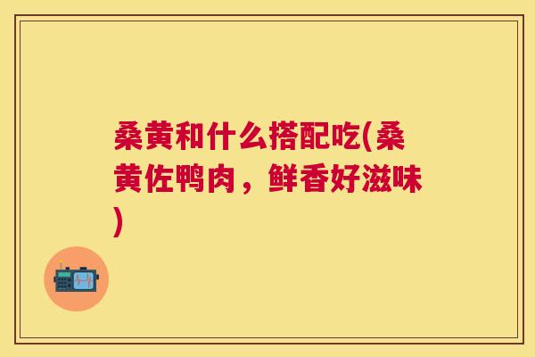 桑黄和什么搭配吃(桑黄佐鸭肉,鲜香好滋味) 桑黄和什么搭配吃(桑黄佐鸭肉,鲜香好滋味)