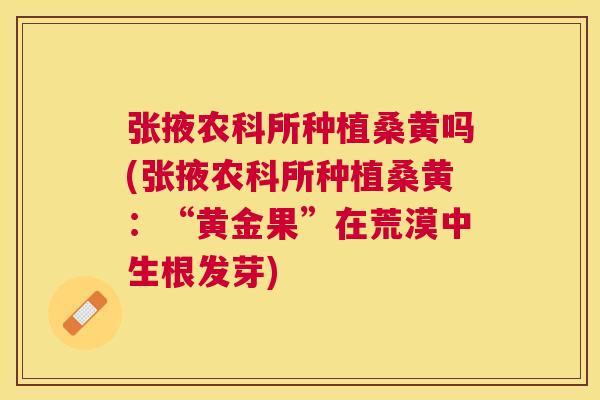 张掖农科所种植桑黄吗(张掖农科所种植桑黄:“黄金果”在荒漠中生根发芽) 张掖农科所种植桑黄吗(张掖农科所种植桑黄:“黄金果”在荒漠中生根发芽)