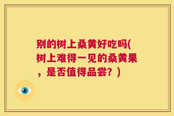 别的树上桑黄好吃吗(树上难得一见的桑黄果,是否值得品尝?) 别的树上桑黄好吃吗(树上难得一见的桑黄果,是否值得品尝?)
