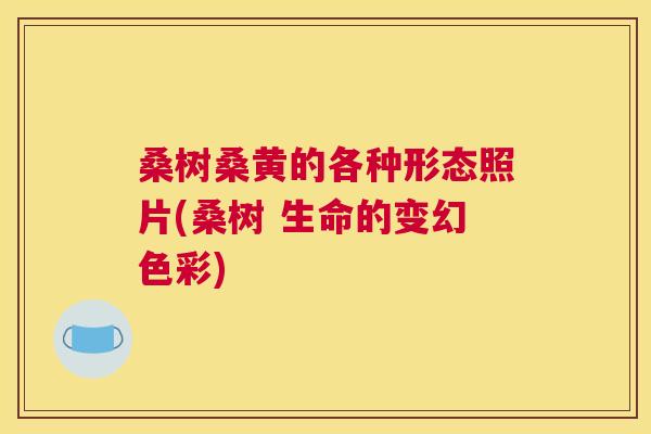 桑树桑黄的各种形态照片(桑树 生命的变幻色彩)