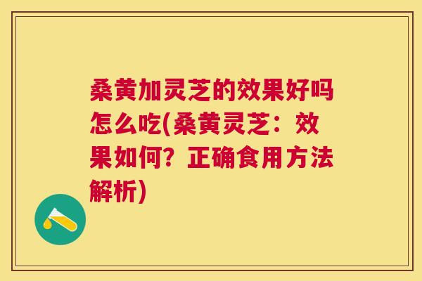 桑黄加灵芝的效果好吗怎么吃(桑黄灵芝:效果如何?正确食用方法解析) 桑黄加灵芝的效果好吗怎么吃(桑黄灵芝:效果如何?正确食用方法解析)