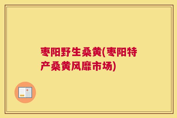 枣阳野生桑黄(枣阳特产桑黄风靡市场) 枣阳野生桑黄(枣阳特产桑黄风靡市场)