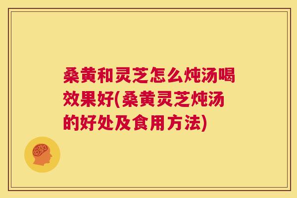 桑黄和灵芝怎么炖汤喝效果好(桑黄灵芝炖汤的好处及食用方法)