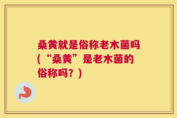 桑黄就是俗称老木菌吗(“桑黄”是老木菌的俗称吗?) 桑黄就是俗称老木菌吗(“桑黄”是老木菌的俗称吗?)