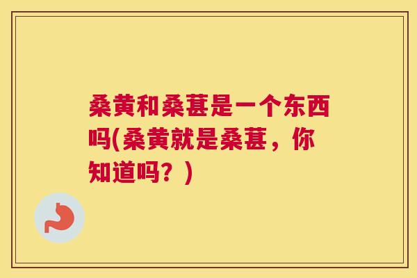 桑黄和桑葚是一个东西吗(桑黄就是桑葚,你知道吗?) 桑黄和桑葚是一个东西吗(桑黄就是桑葚,你知道吗?)