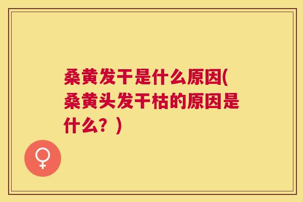 桑黄发干是什么原因(桑黄头发干枯的原因是什么?) 桑黄发干是什么原因(桑黄头发干枯的原因是什么?)