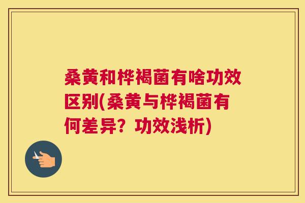 桑黄和桦褐菌有啥功效区别(桑黄与桦褐菌有何差异?功效浅析) 桑黄和桦褐菌有啥功效区别(桑黄与桦褐菌有何差异?功效浅析)