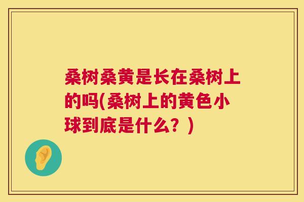 桑树桑黄是长在桑树上的吗(桑树上的黄色小球到底是什么?) 桑树桑黄是长在桑树上的吗(桑树上的黄色小球到底是什么?)
