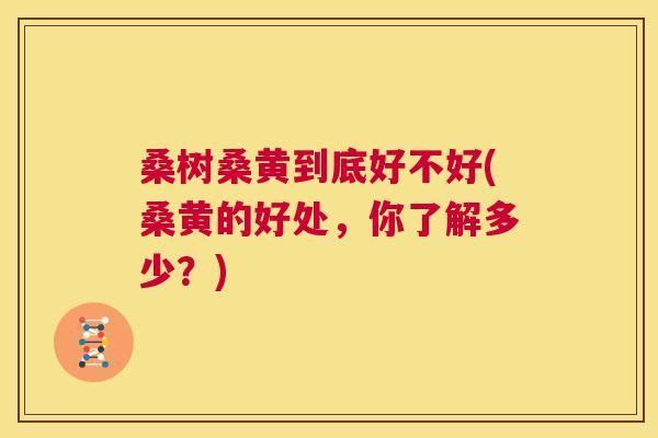 桑树桑黄到底好不好(桑黄的好处,你了解多少?) 桑树桑黄到底好不好(桑黄的好处,你了解多少?)