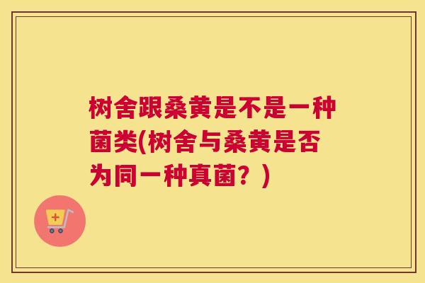 树舍跟桑黄是不是一种菌类(树舍与桑黄是否为同一种真菌？)