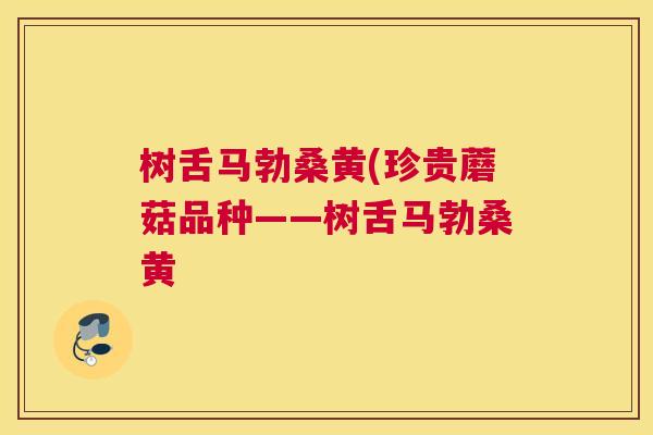 树舌马勃桑黄(珍贵蘑菇品种——树舌马勃桑黄 树舌马勃桑黄(珍贵蘑菇品种——树舌马勃桑黄