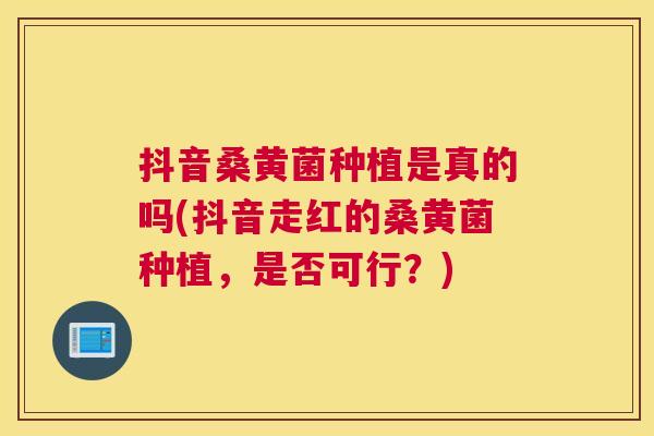 抖音桑黄菌种植是真的吗(抖音走红的桑黄菌种植,是否可行?) 抖音桑黄菌种植是真的吗(抖音走红的桑黄菌种植,是否可行?)