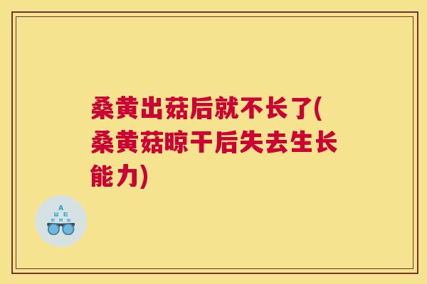 桑黄出菇后就不长了(桑黄菇晾干后失去生长能力) 桑黄出菇后就不长了(桑黄菇晾干后失去生长能力)