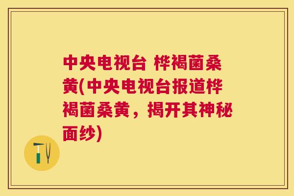 中央电视台 桦褐菌桑黄(中央电视台报道桦褐菌桑黄，揭开其神秘面纱)