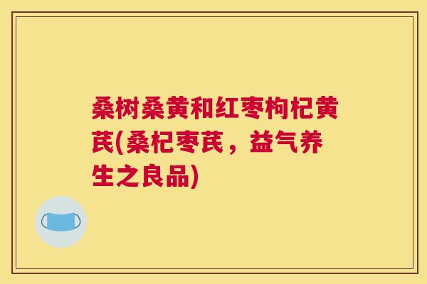 桑树桑黄和红枣枸杞黄芪(桑杞枣芪，益气养生之良品)