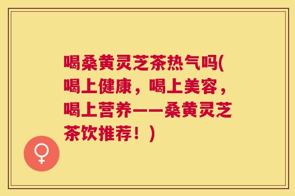 喝桑黄灵芝茶热气吗(喝上健康,喝上美容,喝上营养——桑黄灵芝茶饮推荐!) 喝桑黄灵芝茶热气吗(喝上健康,喝上美容,喝上营养——桑黄灵芝茶饮推荐!)