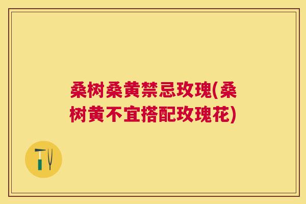 桑树桑黄禁忌玫瑰(桑树黄不宜搭配玫瑰花) 桑树桑黄禁忌玫瑰(桑树黄不宜搭配玫瑰花)