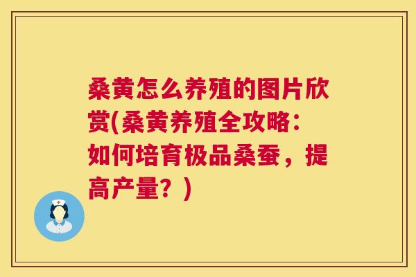 桑黄怎么养殖的图片欣赏(桑黄养殖全攻略:如何培育极品桑蚕,提高产量?) 桑黄怎么养殖的图片欣赏(桑黄养殖全攻略:如何培育极品桑蚕,提高产量?)
