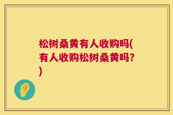 松树桑黄有人收购吗(有人收购松树桑黄吗?) 松树桑黄有人收购吗(有人收购松树桑黄吗?)