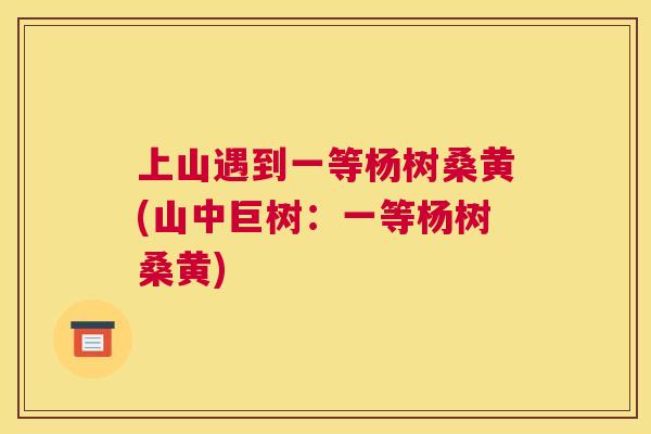 上山遇到一等杨树桑黄(山中巨树:一等杨树桑黄) 上山遇到一等杨树桑黄(山中巨树:一等杨树桑黄)