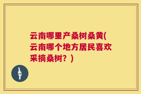 云南哪里产桑树桑黄(云南哪个地方居民喜欢采摘桑树?) 云南哪里产桑树桑黄(云南哪个地方居民喜欢采摘桑树?)