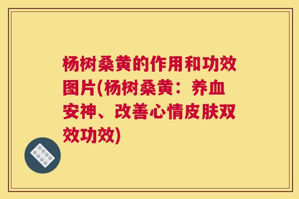 杨树桑黄的作用和功效图片(杨树桑黄:安神、改善心情双效功效) 杨树桑黄的作用和功效图片(杨树桑黄:安神、改善心情双效功效)