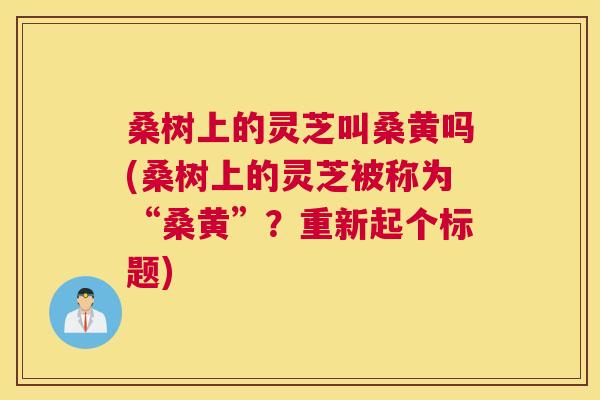 桑树上的灵芝叫桑黄吗(桑树上的灵芝被称为“桑黄”?重新起个标题) 桑树上的灵芝叫桑黄吗(桑树上的灵芝被称为“桑黄”?重新起个标题)