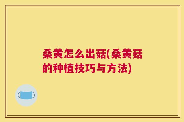 桑黄怎么出菇(桑黄菇的种植技巧与方法)