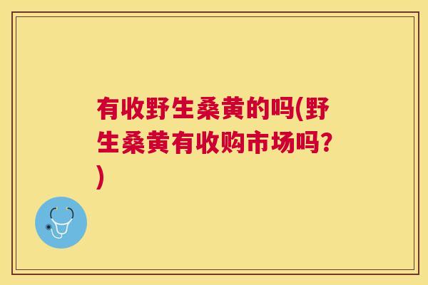 有收野生桑黄的吗(野生桑黄有收购市场吗?) 有收野生桑黄的吗(野生桑黄有收购市场吗?)