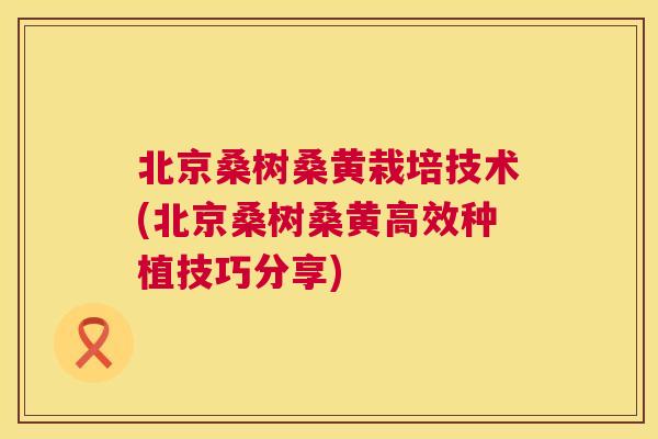 北京桑树桑黄栽培技术(北京桑树桑黄高效种植技巧分享) 北京桑树桑黄栽培技术(北京桑树桑黄高效种植技巧分享)