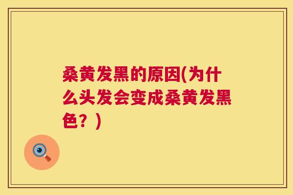 桑黄发黑的原因(为什么头发会变成桑黄发黑色?) 桑黄发黑的原因(为什么头发会变成桑黄发黑色?)