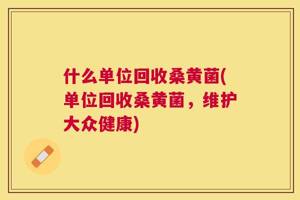 什么单位回收桑黄菌(单位回收桑黄菌,维护大众健康) 什么单位回收桑黄菌(单位回收桑黄菌,维护大众健康)