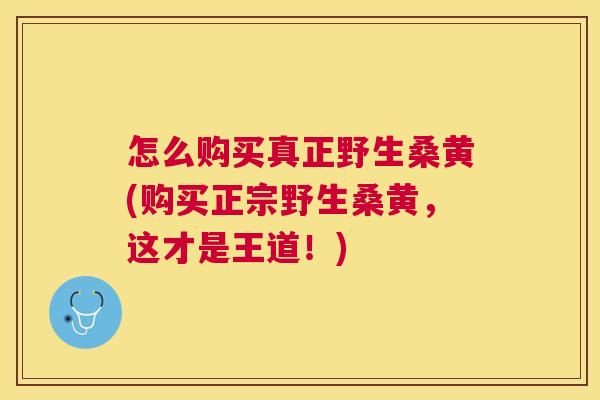 怎么购买真正野生桑黄(购买正宗野生桑黄，这才是王道！)