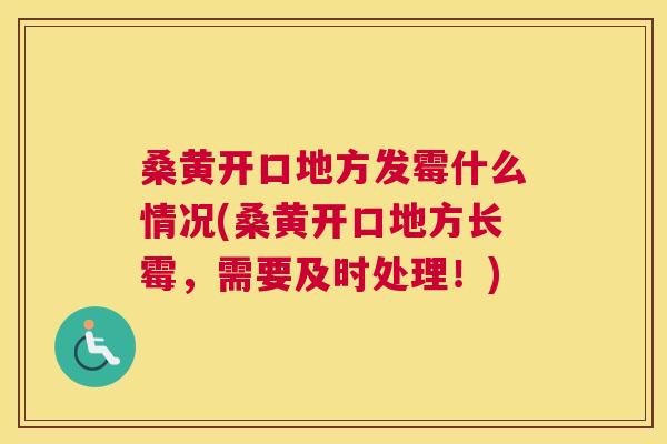 桑黄开口地方发霉什么情况(桑黄开口地方长霉,需要及时处理!) 桑黄开口地方发霉什么情况(桑黄开口地方长霉,需要及时处理!)