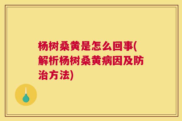 杨树桑黄是怎么回事(解析杨树桑黄因及防方法) 杨树桑黄是怎么回事(解析杨树桑黄因及防方法)