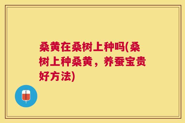 桑黄在桑树上种吗(桑树上种桑黄,养蚕宝贵好方法) 桑黄在桑树上种吗(桑树上种桑黄,养蚕宝贵好方法)